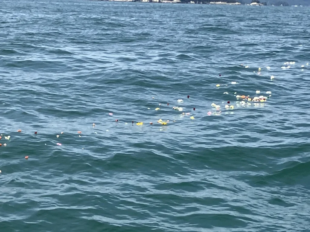 宮城県の塩釜港沖を回遊する海洋散骨ツアーの献花イメージ画像